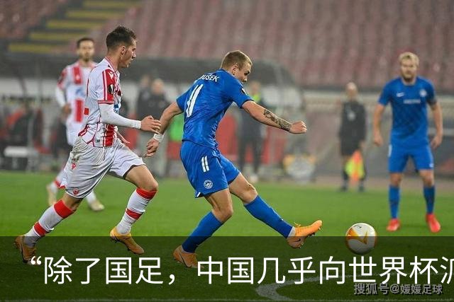 “除了国足，中国几乎向世界杯派去了一切”