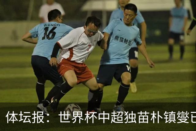 体坛报：世界杯中超独苗朴镇燮已回浙江队，增强球队中后场硬度