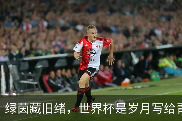 绿茵藏旧绪，世界杯是岁月写给青春的信