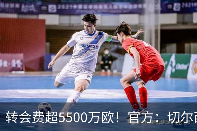 转会费超5500万欧！官方：切尔西签下21岁帕莱斯特拉，签约7年